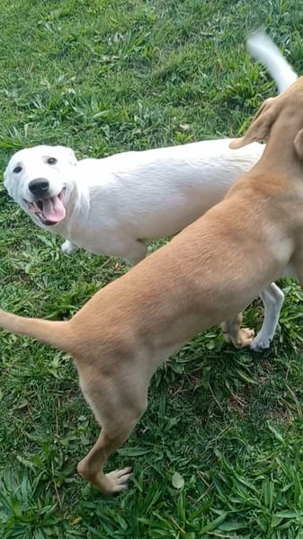 EDO  aufgeschlossen und neugierig