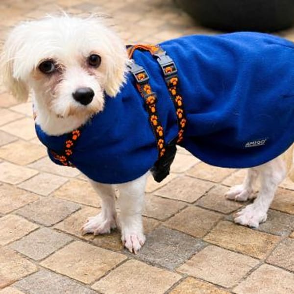 Ildiko° in 65195 Wiesbaden