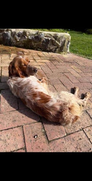 Brigitte 💚 bindungsstark und lieb