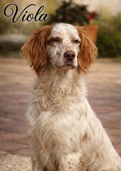 Brigitte 💚 bindungsstark und lieb