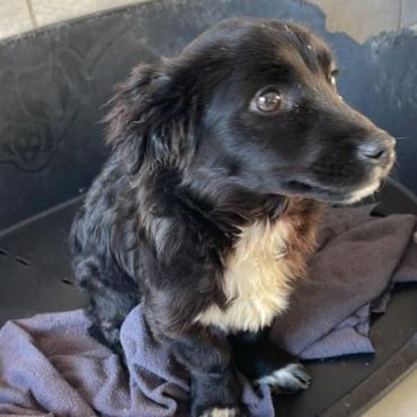 Paula💕kleine, liebe Maus