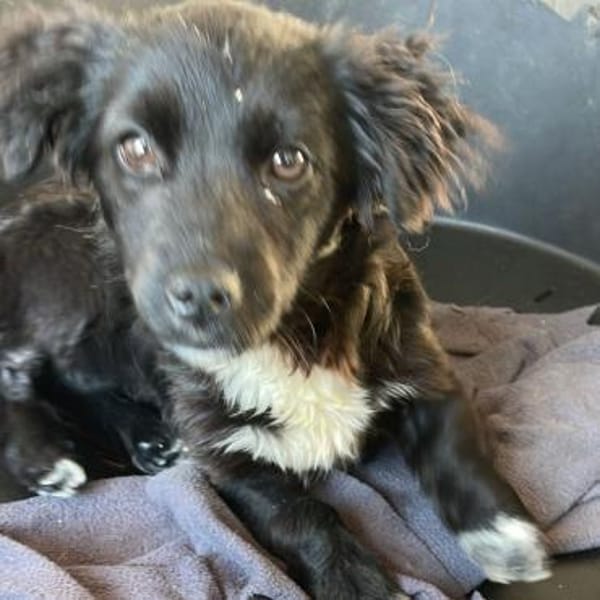 Paula💕kleine, liebe Maus