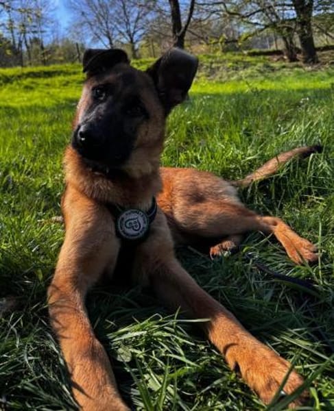 Pumuckel möchte sein Herz verschenken...