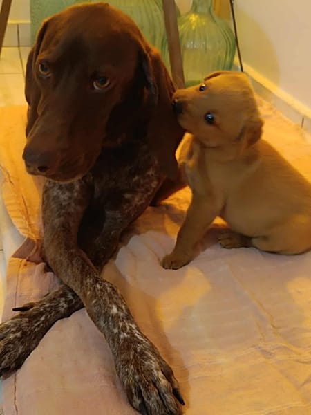 Kiara, je suis toujours là 🥲