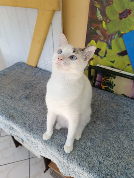 Lily Rose, regardez comme je suis mignonne