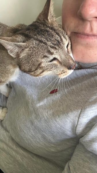 Bandit