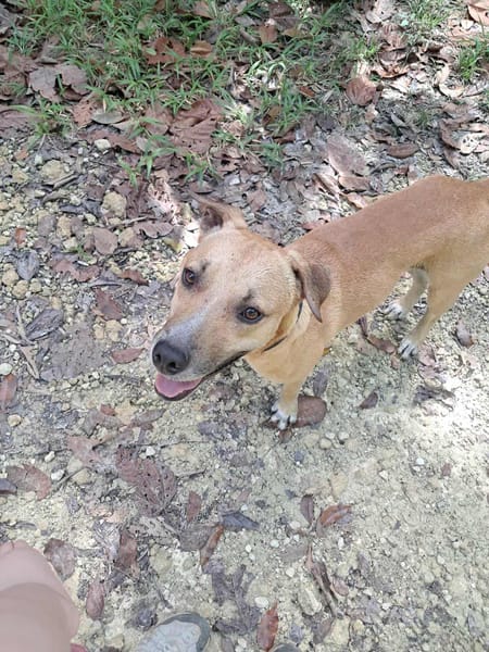 AÏKO la douceur des îles