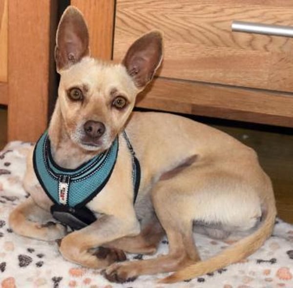 Sanfter, sportlicher THOR ❤