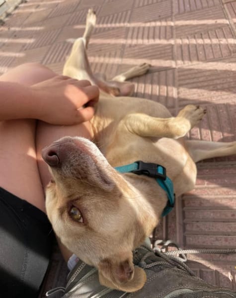 Sanfter, sportlicher THOR ❤