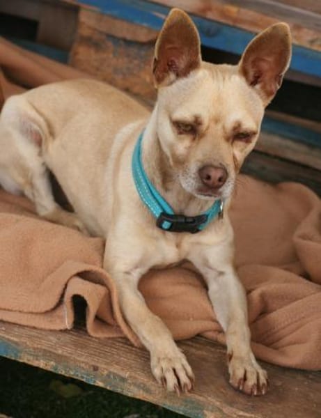 Sanfter, sportlicher THOR ❤