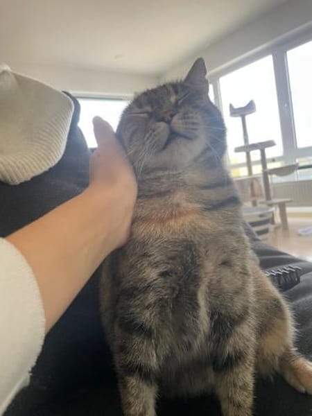 Einzelprinzessin Lili