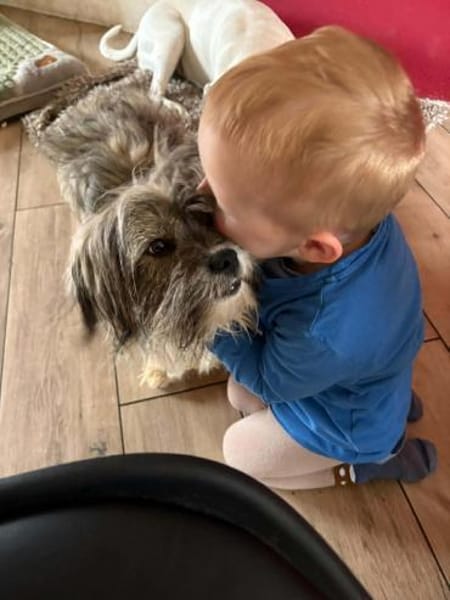 Kinder- und Hühnerfreund Struppi