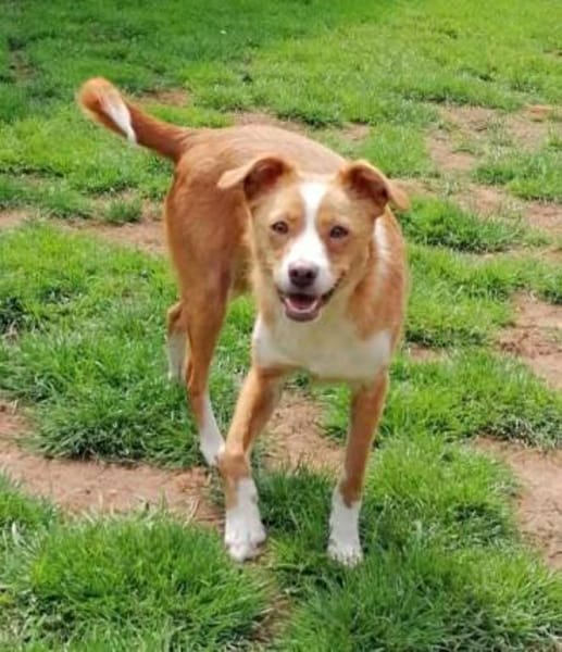 CALISSY möchte noch so viel lernen....