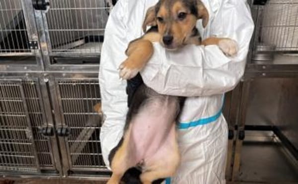 Bonnie wartet auf ihr Traumzuhause