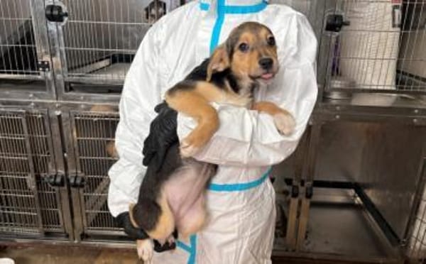 Bonnie wartet auf ihr Traumzuhause