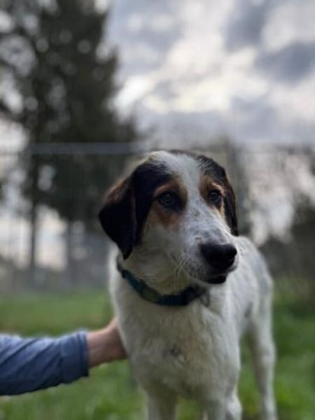 Geroj ein wahrer Schatz