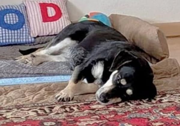 Klein Yaya ist aufgeschlossen und lieb