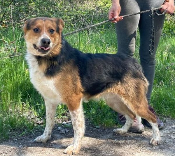 LEO sucht Familienanschluss