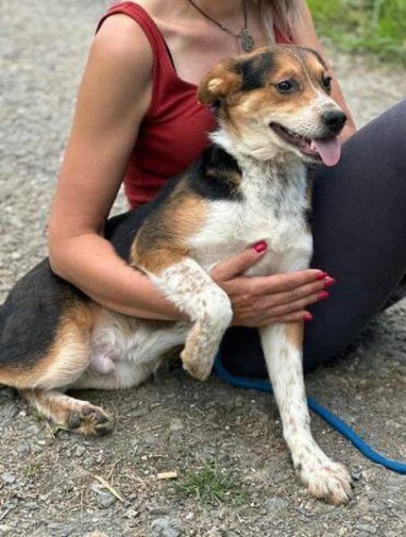 LEO sucht Familienanschluss