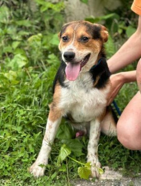 LEO sucht Familienanschluss