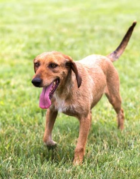 Joy - möchte endlich anfangen zu leben