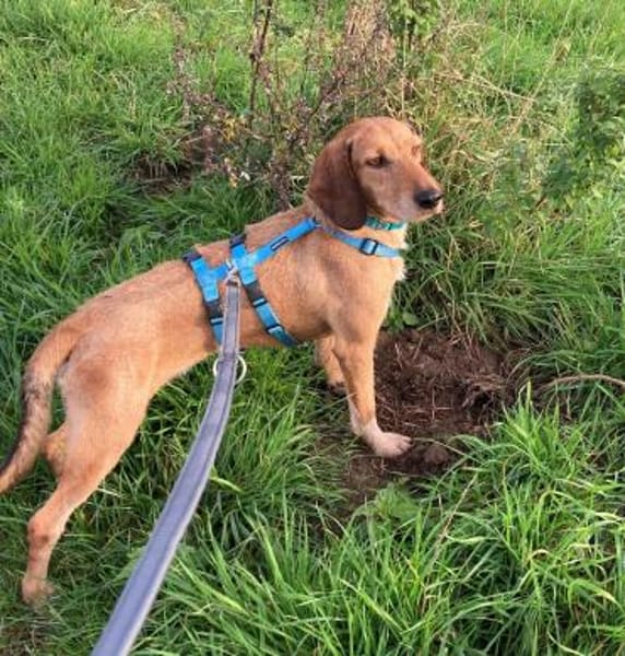Joy - möchte endlich anfangen zu leben