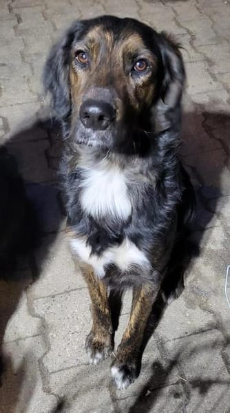 AKKI - sportlich aktiver Typ