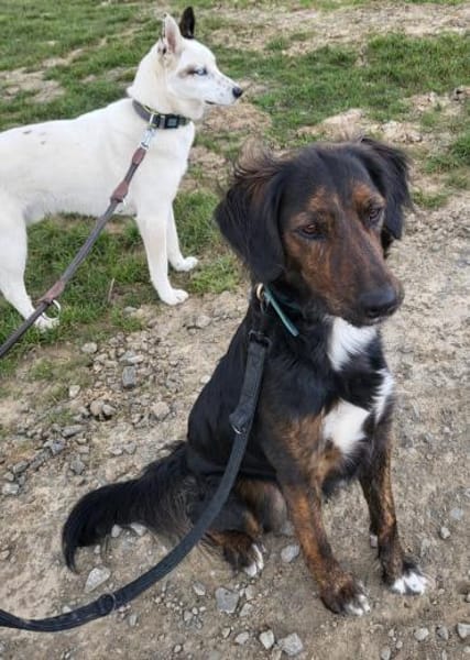 AKKI - sportlich aktiver Typ