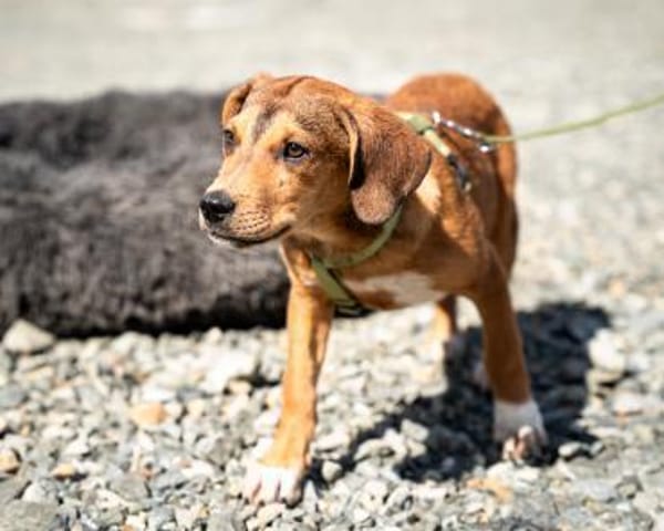 Akino such seine Herzensmenschen...