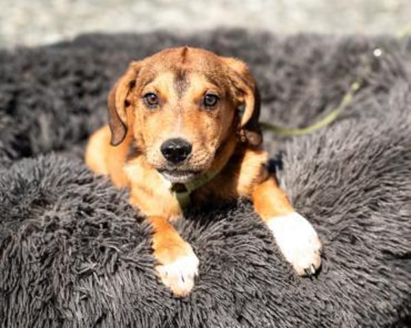 Akino such seine Herzensmenschen...