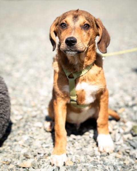 Akino such seine Herzensmenschen...