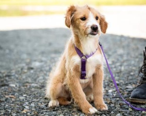 Isana sucht ihre LIEBLINGSMENSCHEN