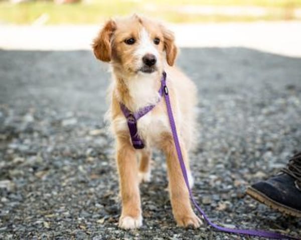 Isana sucht ihre LIEBLINGSMENSCHEN