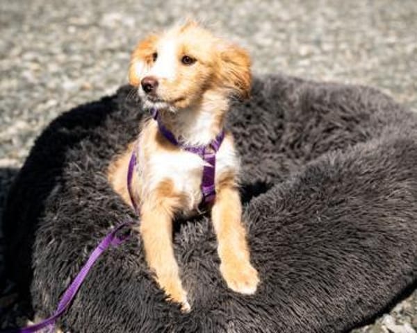 Isana sucht ihre LIEBLINGSMENSCHEN