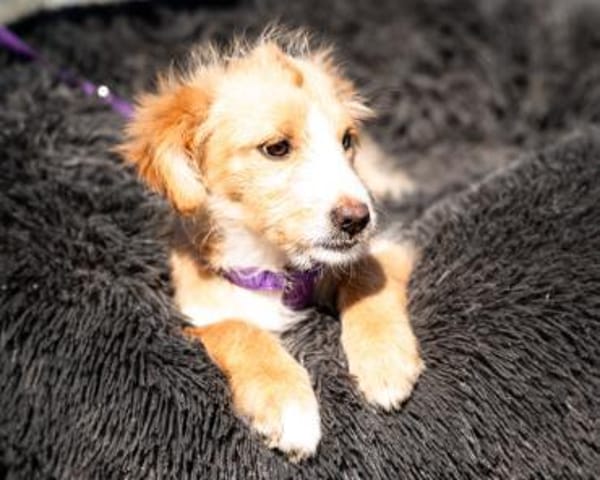 Isana sucht ihre LIEBLINGSMENSCHEN