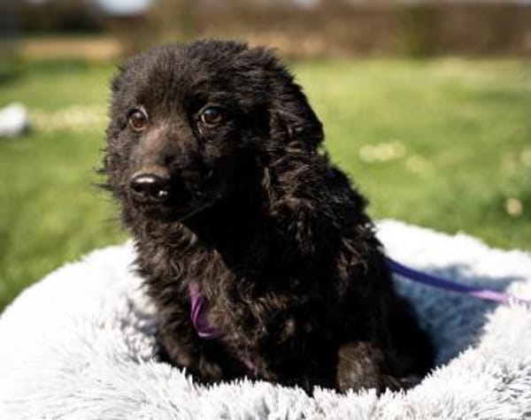 Yukina unsere kleine Schönheit...