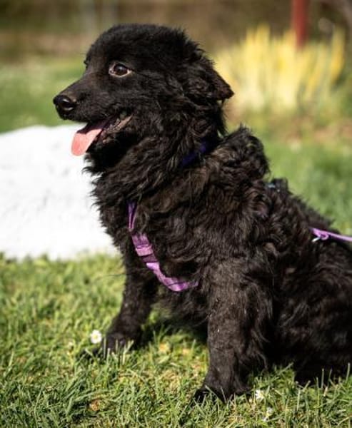 Yukina unsere kleine Schönheit...