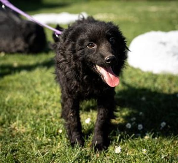 Yukina unsere kleine Schönheit...