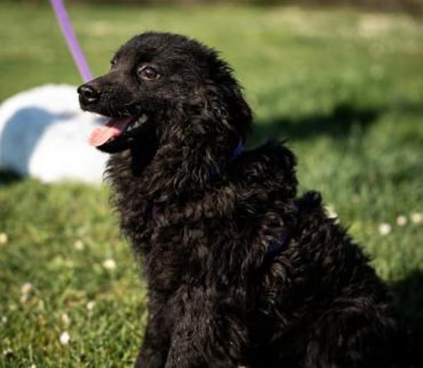 Yukina unsere kleine Schönheit...