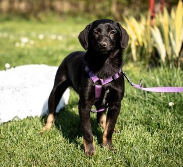 Mikana möchte mit Dir die Welt entdecken