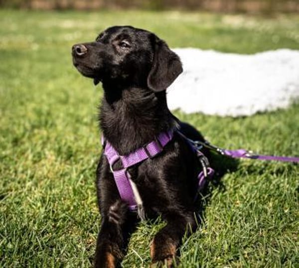 Mikana möchte mit Dir die Welt entdecken