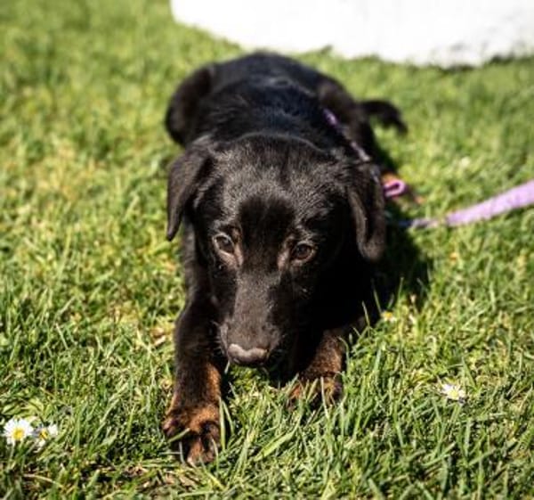 Mikana möchte mit Dir die Welt entdecken