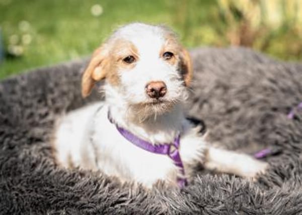 Rina sucht ihre Menschen...