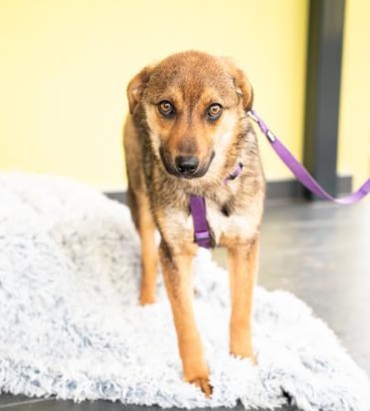 liebenswerte kleine - Serina