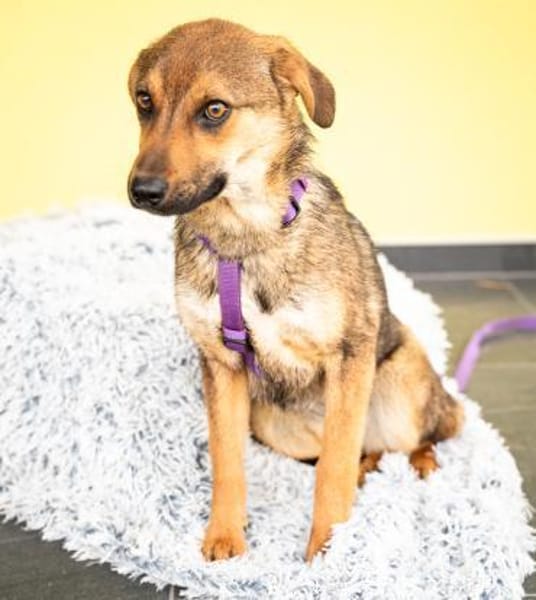 liebenswerte kleine - Serina