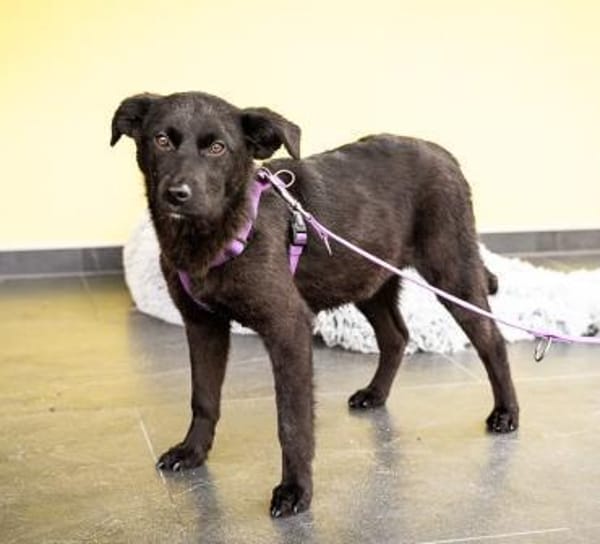 Beauty sucht ihr Glück....