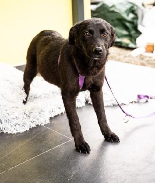 Beauty sucht ihr Glück....