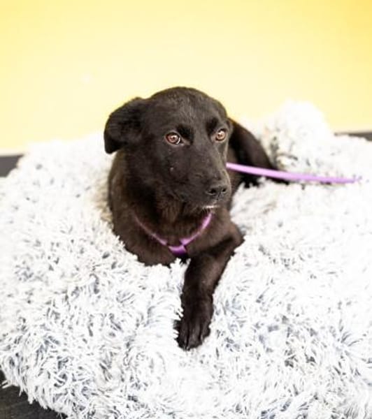 Beauty sucht ihr Glück....