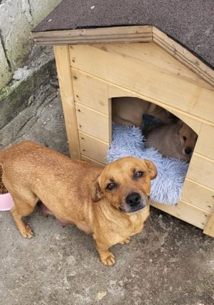 Jördis - Die kleine Mama 🥹