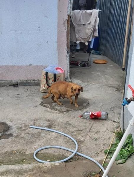 Jördis - Die kleine Mama 🥹